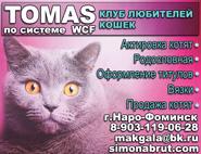 Томас, клуб любителей кошек
